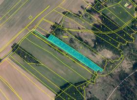Prodej souboru 3 pozemků-lesní pozemek, stráň, jiná plochá, celková výměra 5.221 m2, Bojanov u Dolní Libochové, Žďár nad Sázavou