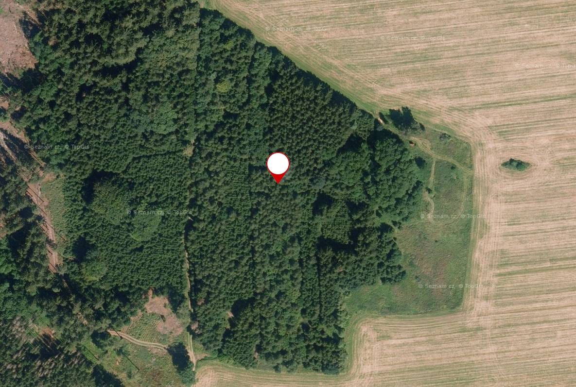 Prodej lesního pozemku, celková výměra 9727 m², k.ú. Lukavec u Pacova