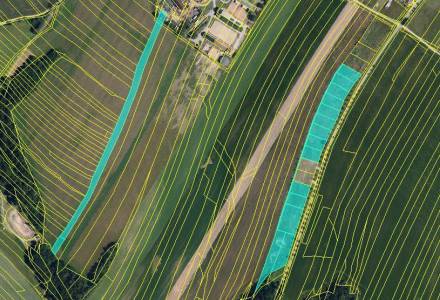                                     Prodej souboru 23 pozemků, celková výměra 31.902 m2, k.ú. Maršov u Veverské Bítýšky, Jihomoravský kraj
                                